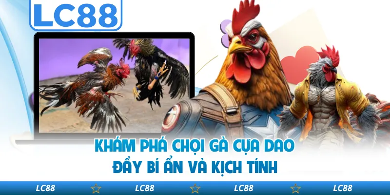 Khám Phá Chọi Gà Cựa Dao Đầy Bí Ẩn Và Kịch Tính